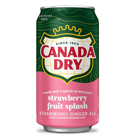 Canada Dry Fruit Splash Strawberry  GingerAle (335mL)